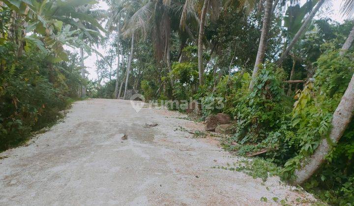 Tanah los tebing sungai di sentral Ubud, kontur 85 persen datar 2