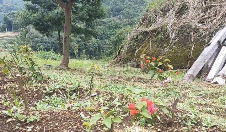 Tanah Super View 360 derajat di sentral gunung Rinjani Lombok 12