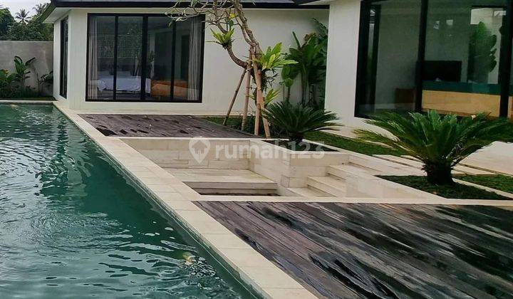 brand new villa queen Leasehold 30Tahun view sawah di ubud Bali 1