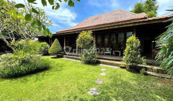 brand new villa queen Leasehold 30 years rice field view in ubud Bali 2