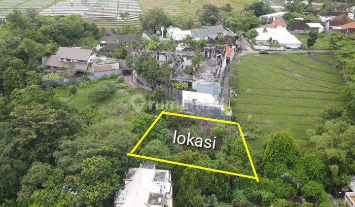 Tanah di umalas, kerobokan, boleh beli 330m2 kawasan villa mewah 4