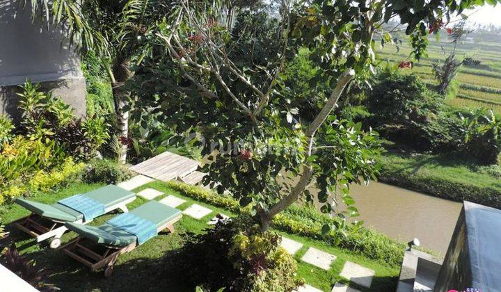 Luxury villa los tebing sungai dan view terasering sawah di gianyar 8