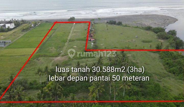 Tanah super murah los pantai medewi surfing di jembrana, bali 2