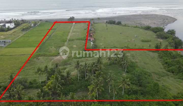 Tanah super murah los pantai medewi surfing di jembrana, bali 3