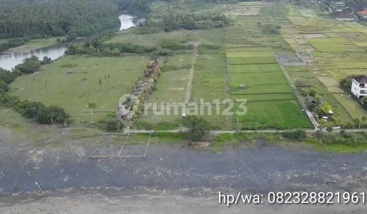 Tanah super murah los pantai medewi surfing di jembrana, bali 8