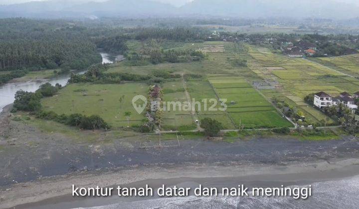 Tanah super murah los pantai medewi surfing di jembrana, bali 10