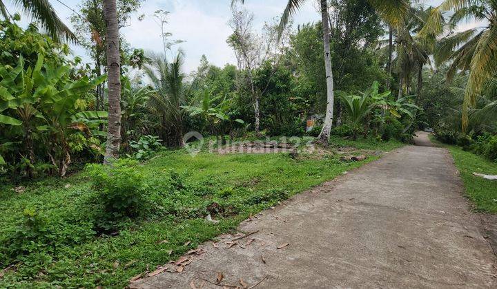 Tanah view laut kawasan medewi surfing, akses jalan 5 meter beton 3