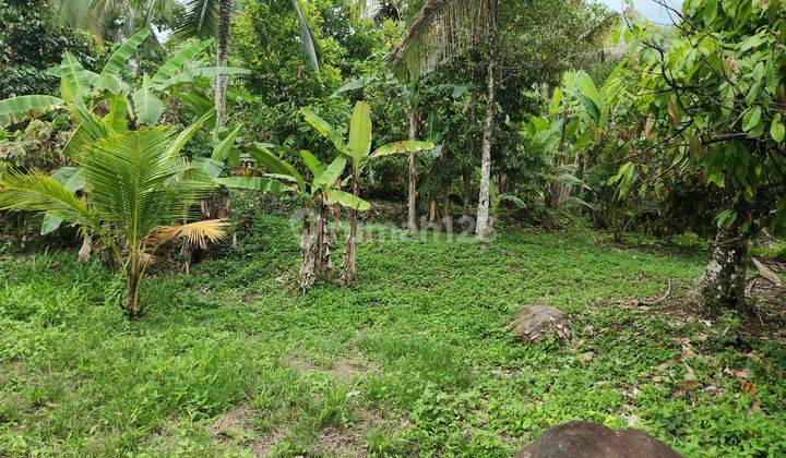 Tanah view laut kawasan medewi surfing, akses jalan 5 meter beton 4
