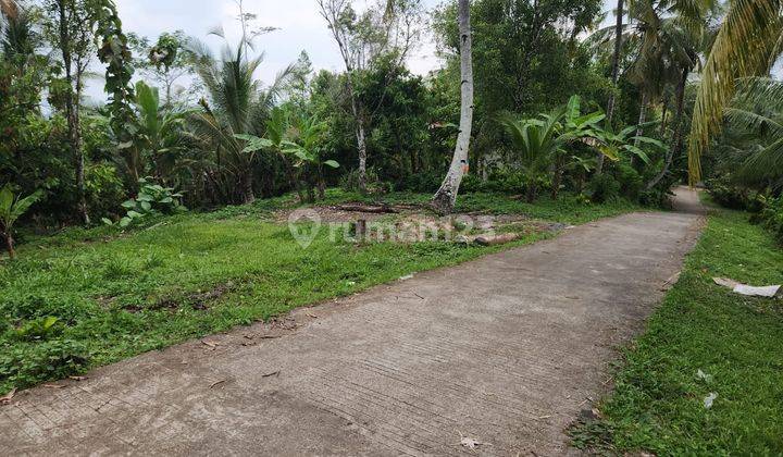 Tanah view laut kawasan medewi surfing, akses jalan 5 meter beton 5