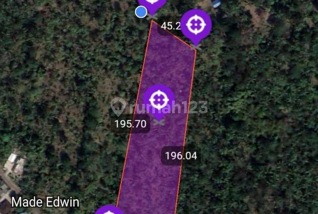 Tanah perkebunan di kawasan medewi surfing, akses jalan 4 meter aspal 1