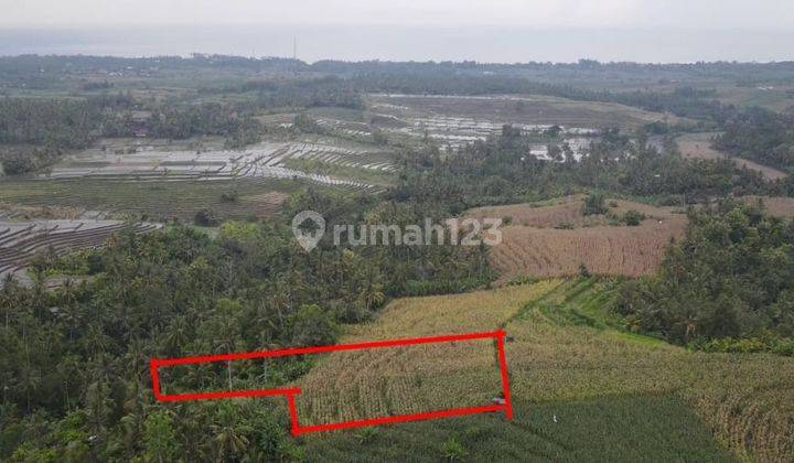 Tanah komersial full view laut dan terasering sawah di medewi surfing 2