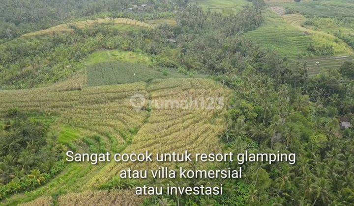 Tanah komersial full view laut dan terasering sawah di medewi surfing 6