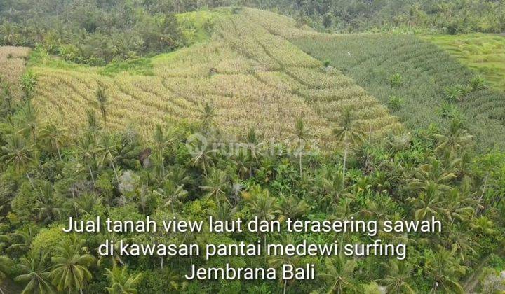 Tanah komersial full view laut dan terasering sawah di medewi surfing 8