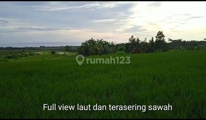 Tanah komersial full view laut dan terasering sawah di medewi surfing 10