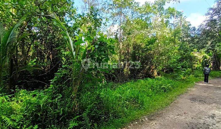 Tanah full view terasering sawah di tegallinggah tabanan akses jln beton 9
