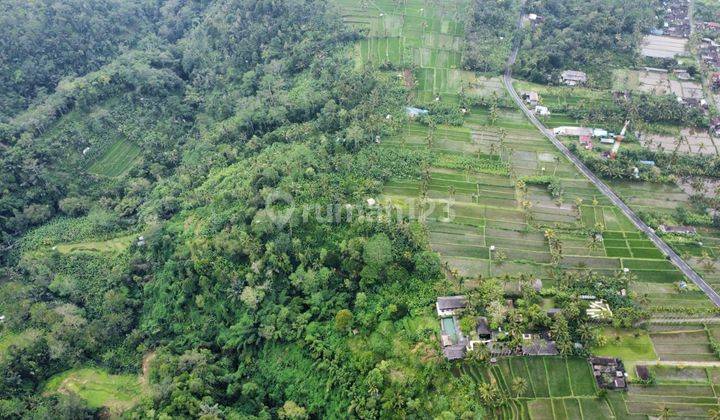 Tanah murah los tebing dan view gunung, kontur terasering 3