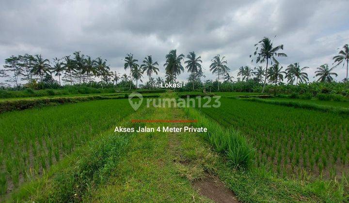 Tanah murah los tebing dan view gunung, kontur terasering 4