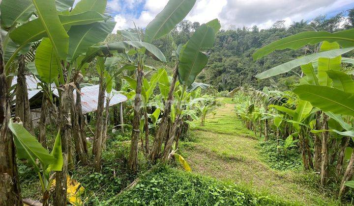 Tanah murah los tebing dan view gunung, kontur terasering 7