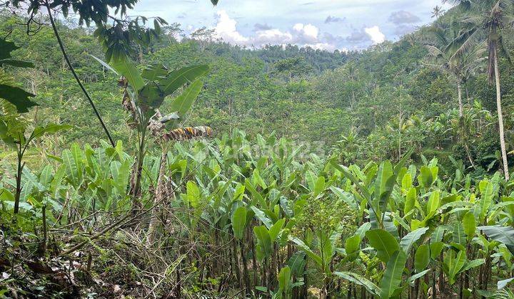 Tanah murah los tebing dan view gunung, kontur terasering 10