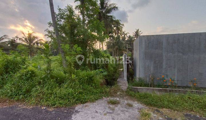 Tanah view hamparan sawah di blahbatuh Ubud,  free layout villa 3