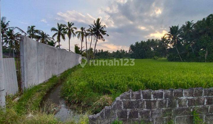 Tanah view hamparan sawah di blahbatuh Ubud,  free layout villa 4