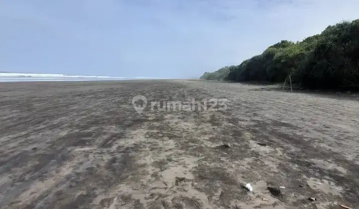 Tanah los pantai di pengeragoan pekutatan, akses jalan 12 meter 1
