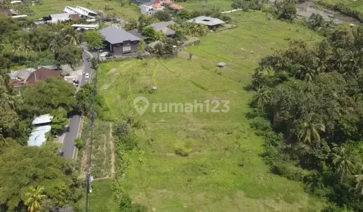 Disewakan 25 tahun, Tanah di ubud full view jungle 1