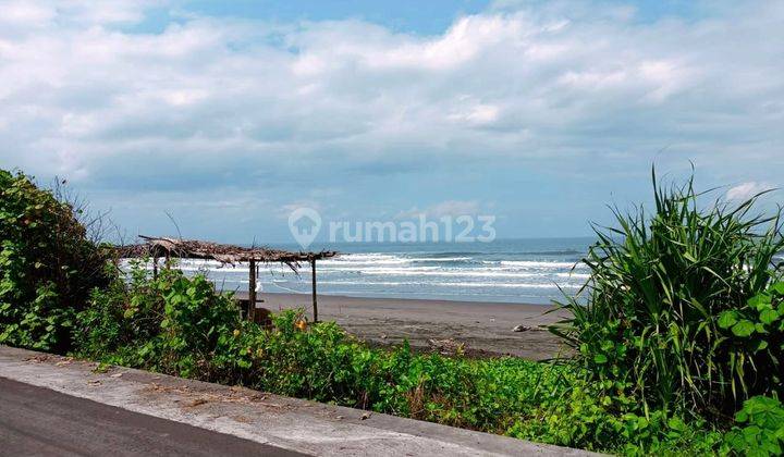 Murah, Tanah depan pantai 13 menit ke pantai surfing medewi 2