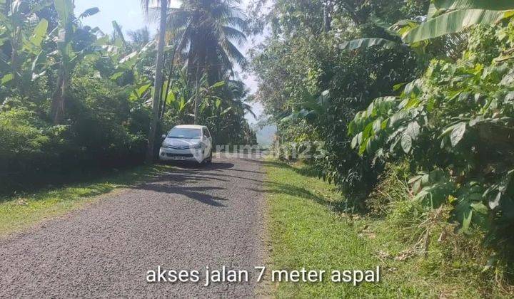 Tanah 5 menit ke pantai medewi surfing, akses jalan 7 meter 1