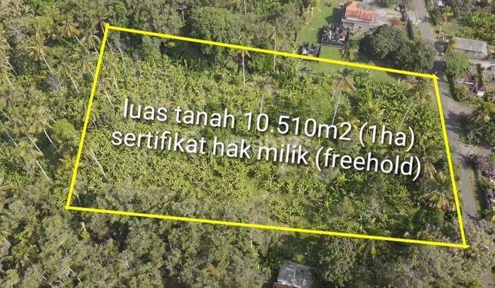 Tanah 5 menit ke pantai medewi surfing, akses jalan 7 meter 2
