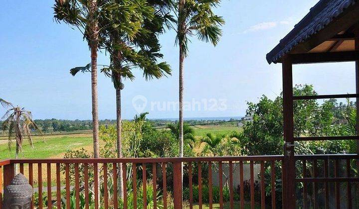 Luxury villa full view laut dan hamparan sawah di jalan pantai kedungu 2