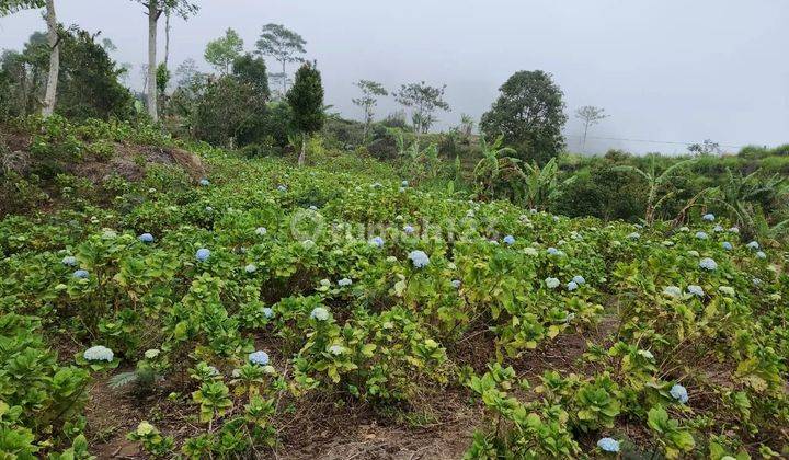 Tanah kavling view danau dan jungle, boleh beli 500m2 2