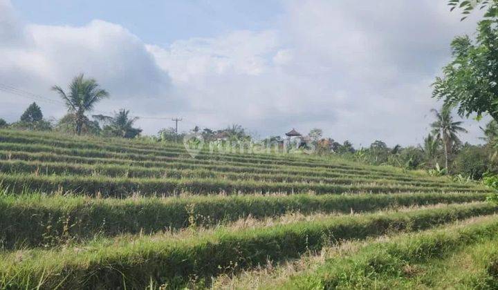 Tanah View jungle dan view sawah di Tabanan 1