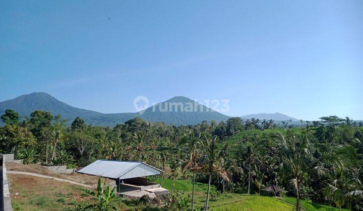 Cheap land with views of rice fields and mountains, bonus villa building in Tabanan 2