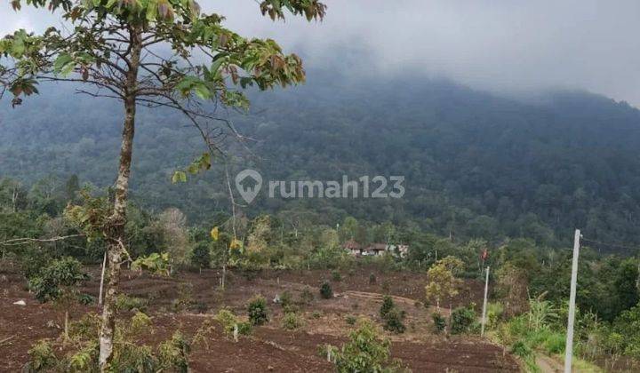 Tanah view pegunungan di Buleleng, cocok untuk investasi atau Resort 1