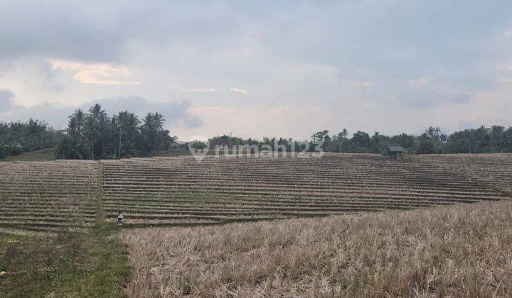 Land with full view of rice terraces in Selemadeg, road access 3 meters 2