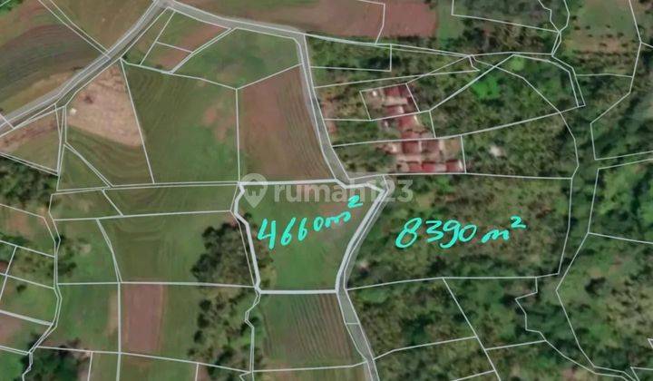 Land with full view of rice terraces in Selemadeg, road access 3 meters 1