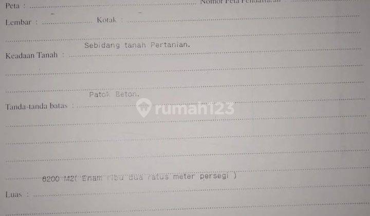 Tanah kebun di Tabanan, boleh ambil 6200m2 akses jalan beton 2