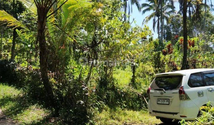 Tanah kebun di Tabanan, boleh ambil 6200m2 akses jalan beton 1