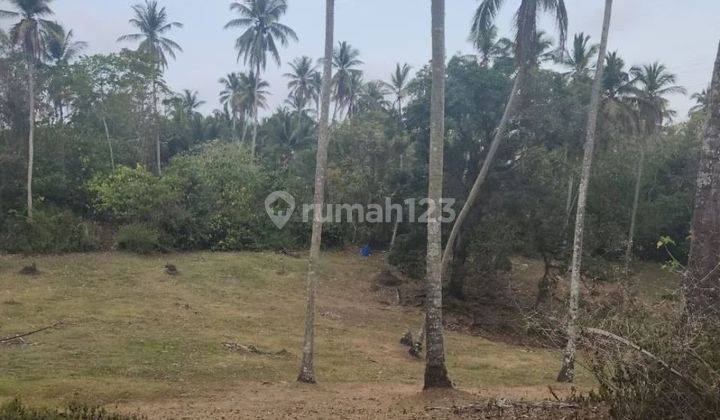 Land with sea view at Lalang Linggah Balian Beach, road access 4 meters 2