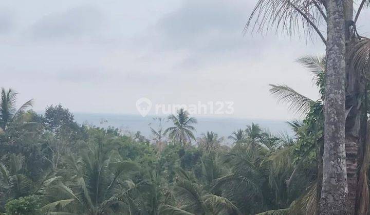 Land with sea view at Lalang Linggah Balian Beach, road access 4 meters 1