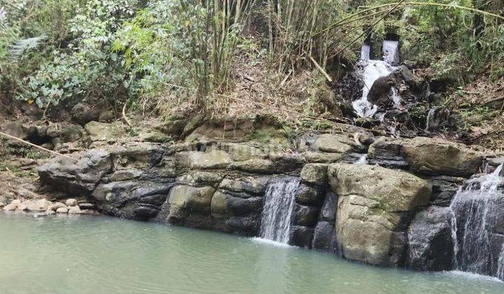 Tanah los tebing air terjun, view jungle dan sawah di Tabanan 1