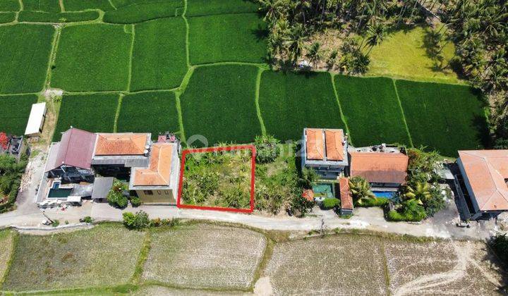 Tanah full view sawah di lod tunduh Ubud, akses jalan 4 meter 2