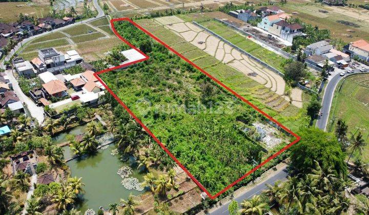 tanah view sawah di jalan raya kaba kaba akses jalan 8 meter 2