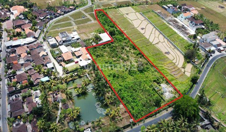 tanah view sawah di jalan raya kaba kaba akses jalan 8 meter 1