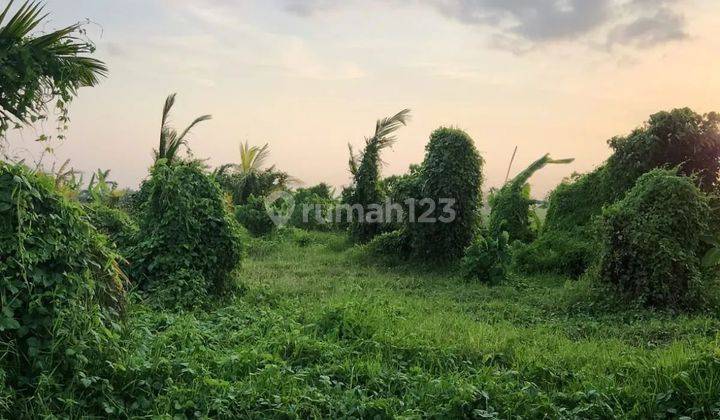 Tanah view sawah dan view laut di jalan pantai pasut tabanan 1