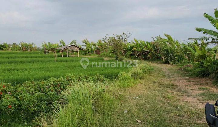 Land with view of rice field terraces, villa area on Pasut Beach Road 1