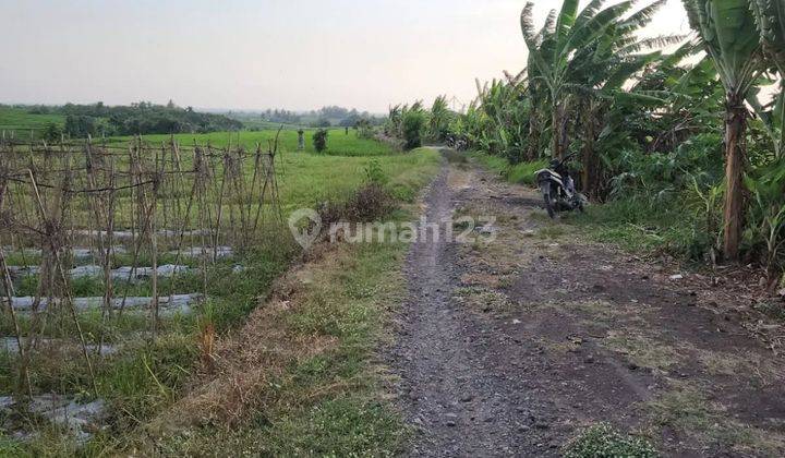 Land with view of rice field terraces, villa area on Pasut Beach Road 2