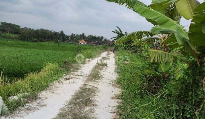 Commercial land with terraced rice field view, front width 15 meters 2