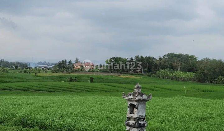 Commercial land with terraced rice field view, front width 15 meters 1